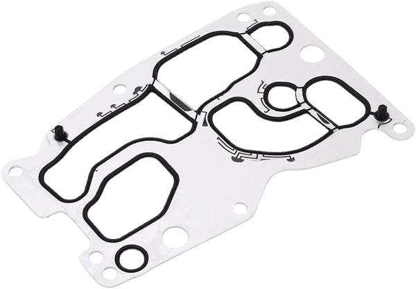 Oil Cooler Gasket