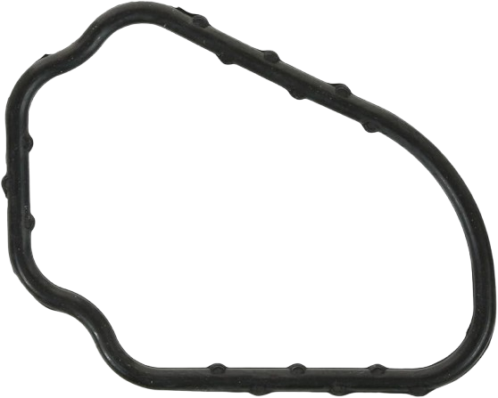 Thermostat Gasket